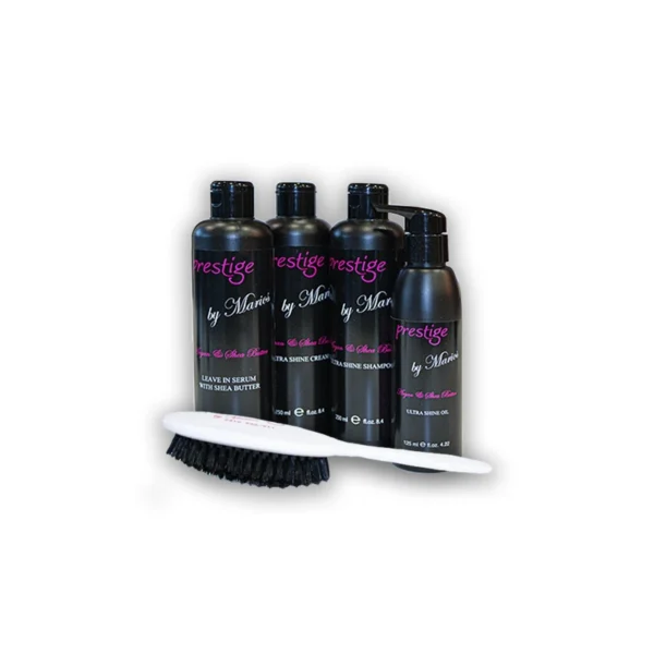 SET HAIRSTYLE & BRUSH ΣΕ ΠΡΟΣΦΟΡΑ