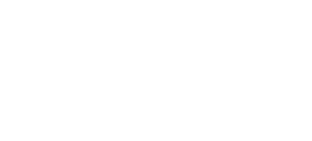 light logo